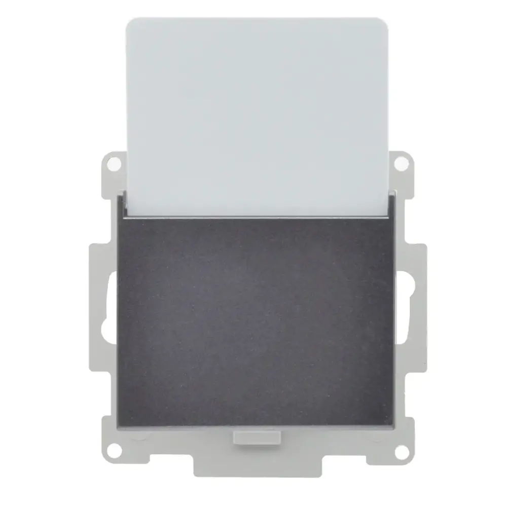 Eqona / Radius / Neoline Energy Saver (RF), Füme (Mekanizma + Tuş/Kapak) - 1