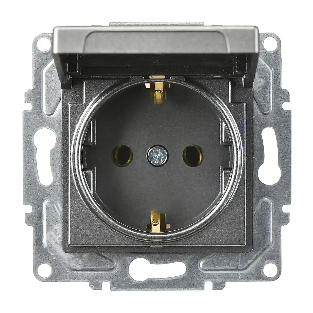 Socket with Side Earth with Cover, Smoked Gray - Günsan