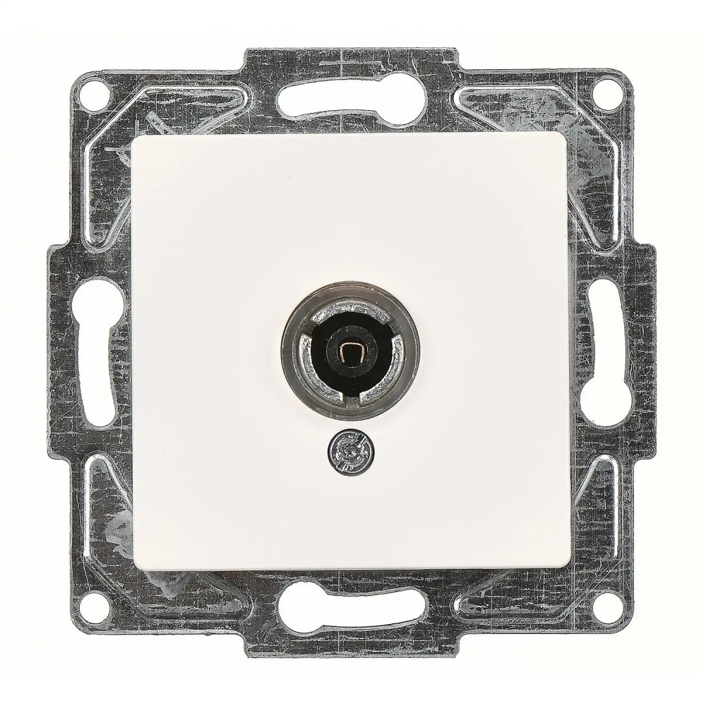 Eqona / Radius / Neoline TV Prizi (Geçişli-Sonlu), Fildişi Beyazı (Mekanizma + Tuş/Kapak) - Günsan Elektrik