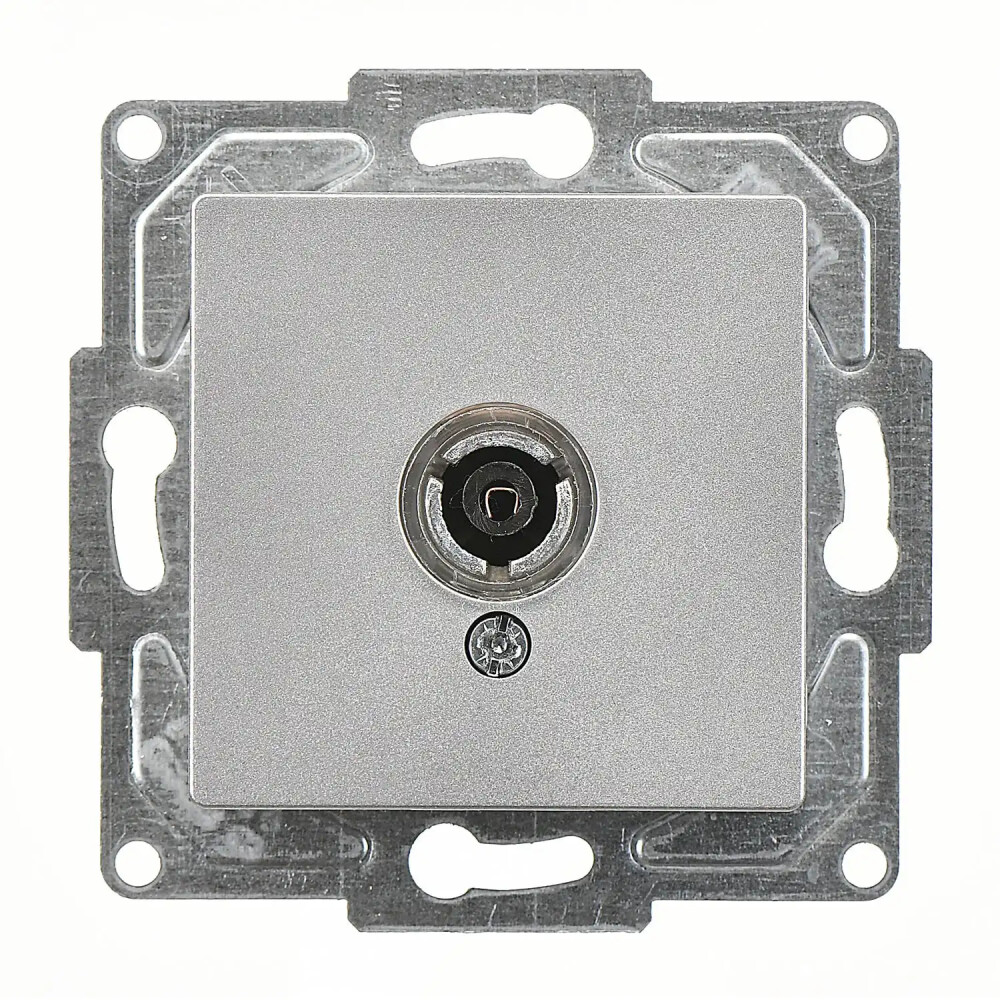 Eqona / Radius / Neoline TV Prizi (Geçişli-Sonlu), Gümüş (Mekanizma + Tuş/Kapak) - Günsan Elektrik