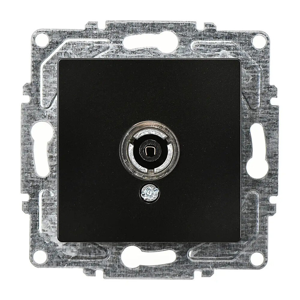 Eqona / Radius / Neoline TV Prizi (Geçişli-Sonlu), Metalik Siyah (Mekanizma + Tuş/Kapak) - Günsan Elektrik