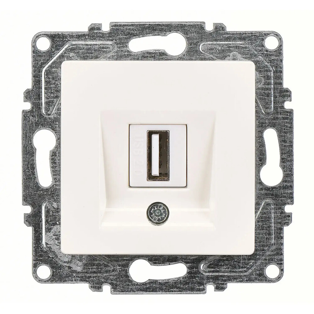 Eqona / Radius / Neoline USB Data Prizi, Fildişi Beyazı (Mekanizma + Tuş/Kapak) - Günsan Elektrik