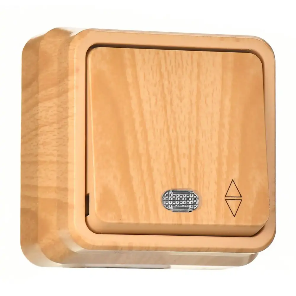 Fantasy Misya Işıklı Vavien, Akçaağaç - 2