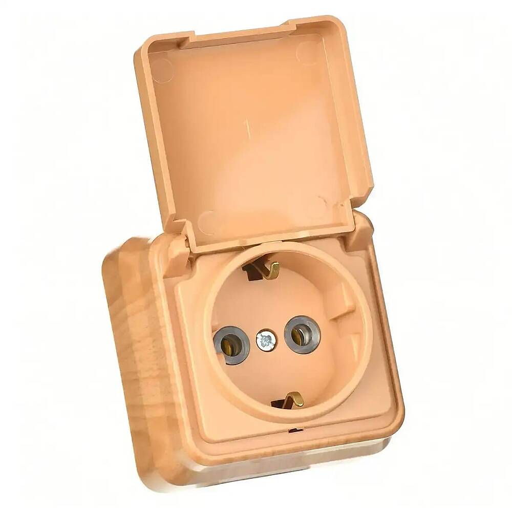 Fantasy Misya Kapaklı Topraklı Priz, Akçaağaç - 3