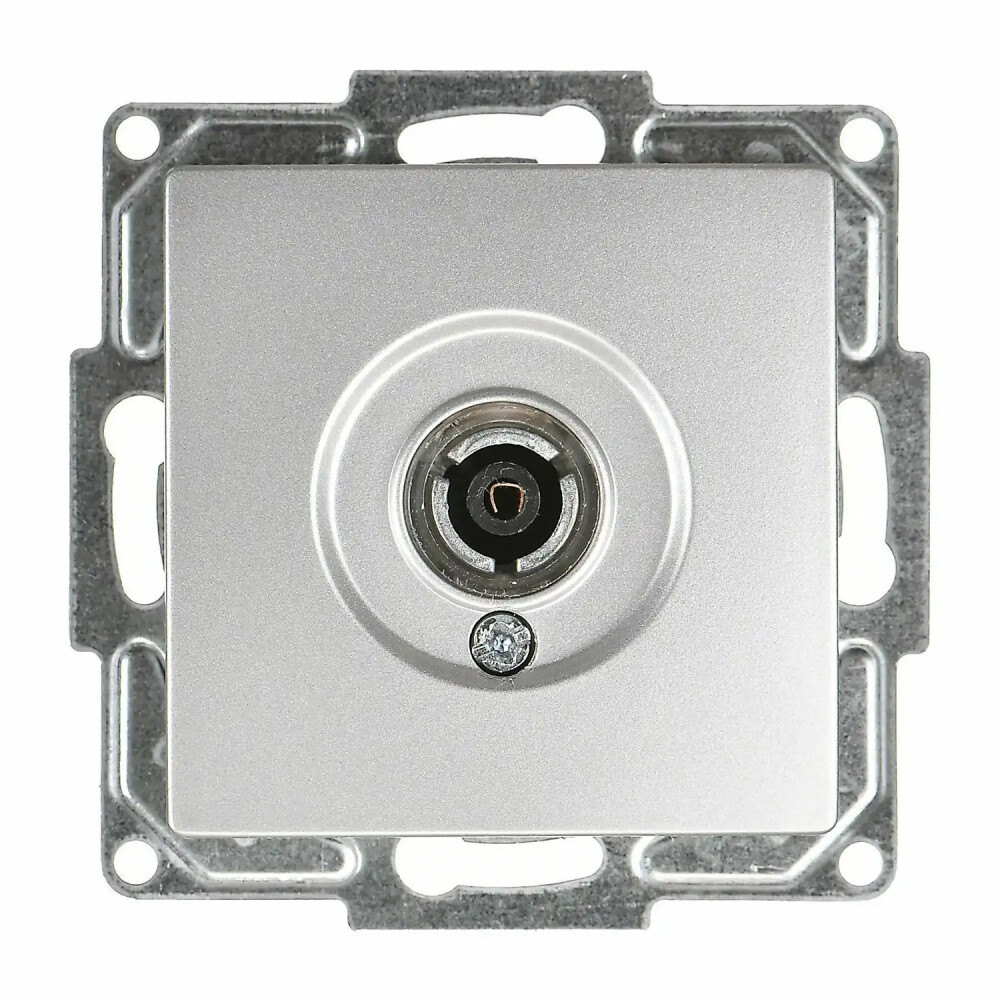 Visage TV Prizi (Geçişli-Sonlu), Gümüş (Mekanizma + Tuş/Kapak) - Günsan Elektrik