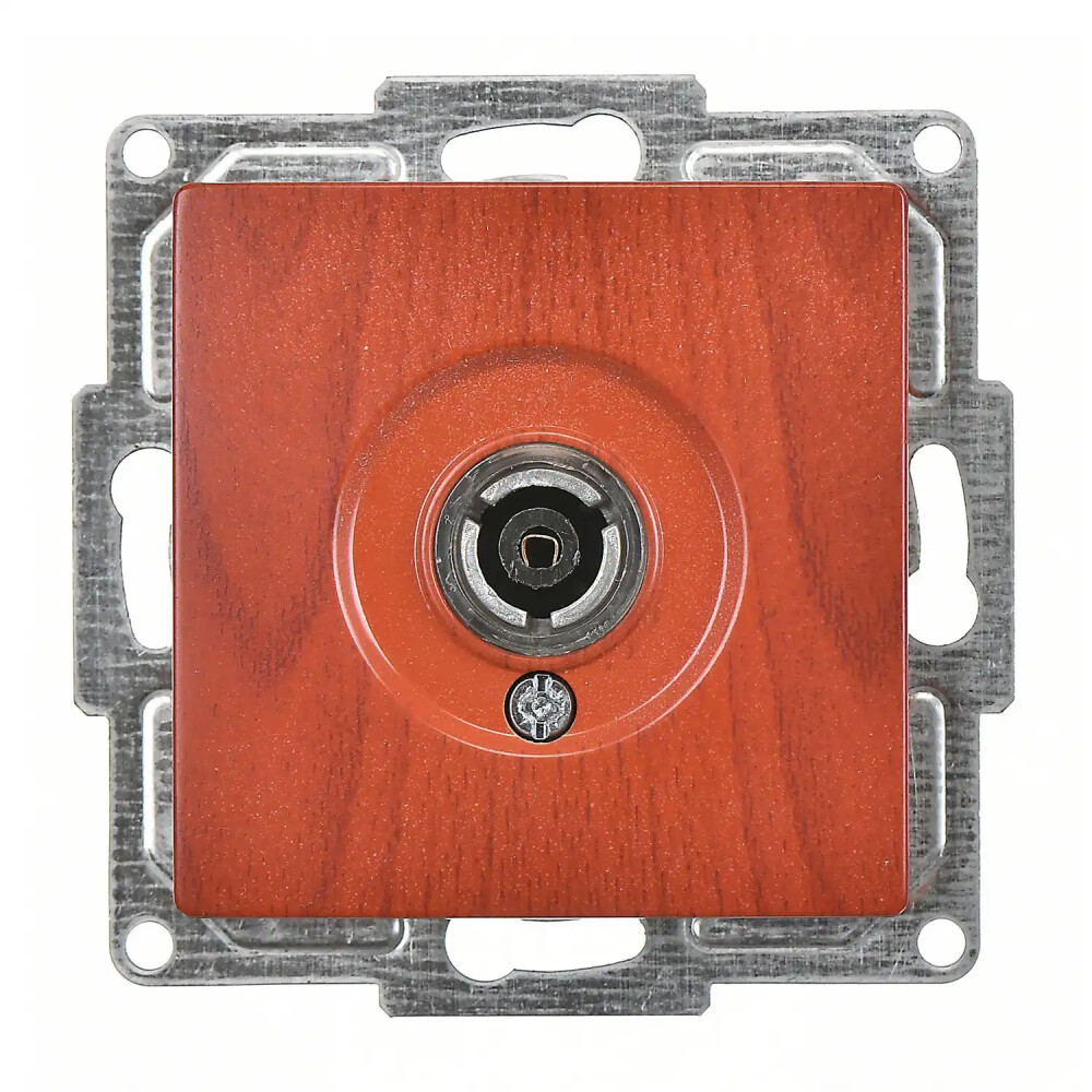 TV Socket, Ending-Intermediate, Cherry - Günsan Elektrik