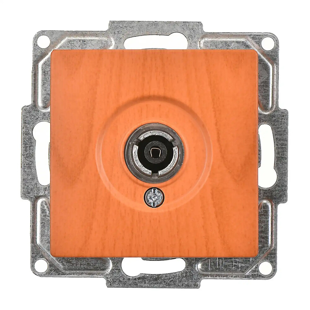 TV Socket, Ending-Intermediate, Oak - Günsan Elektrik