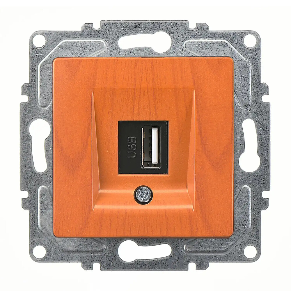 Visage USB Data Prizi, Meşe (Mekanizma + Tuş/Kapak) - Günsan Elektrik